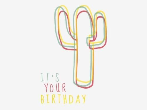 Farbige Glückwunschkarte zum Geburtstag mit handgezeichnetem Kaktus-Umriss – Mehr Farben in minimalistischen Illustrationen helfen dabei, Ihr Design zur Geltung zu bringen – Bild