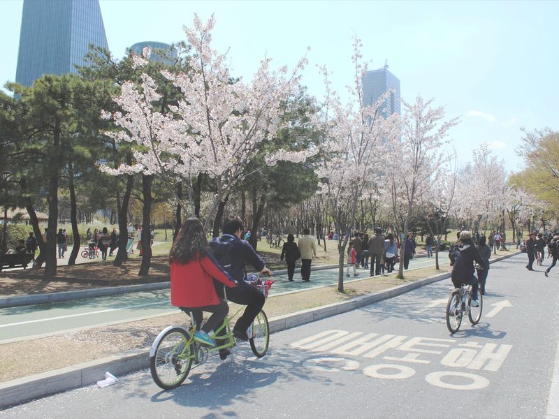 Photo of people riding bicycles on the street in South Korea - Riding a bike while celebrating a birthday - Image