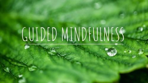 Heading 'Guided Mindfulness' with a leaf in the background - How to choose a header type for a blog post - Image