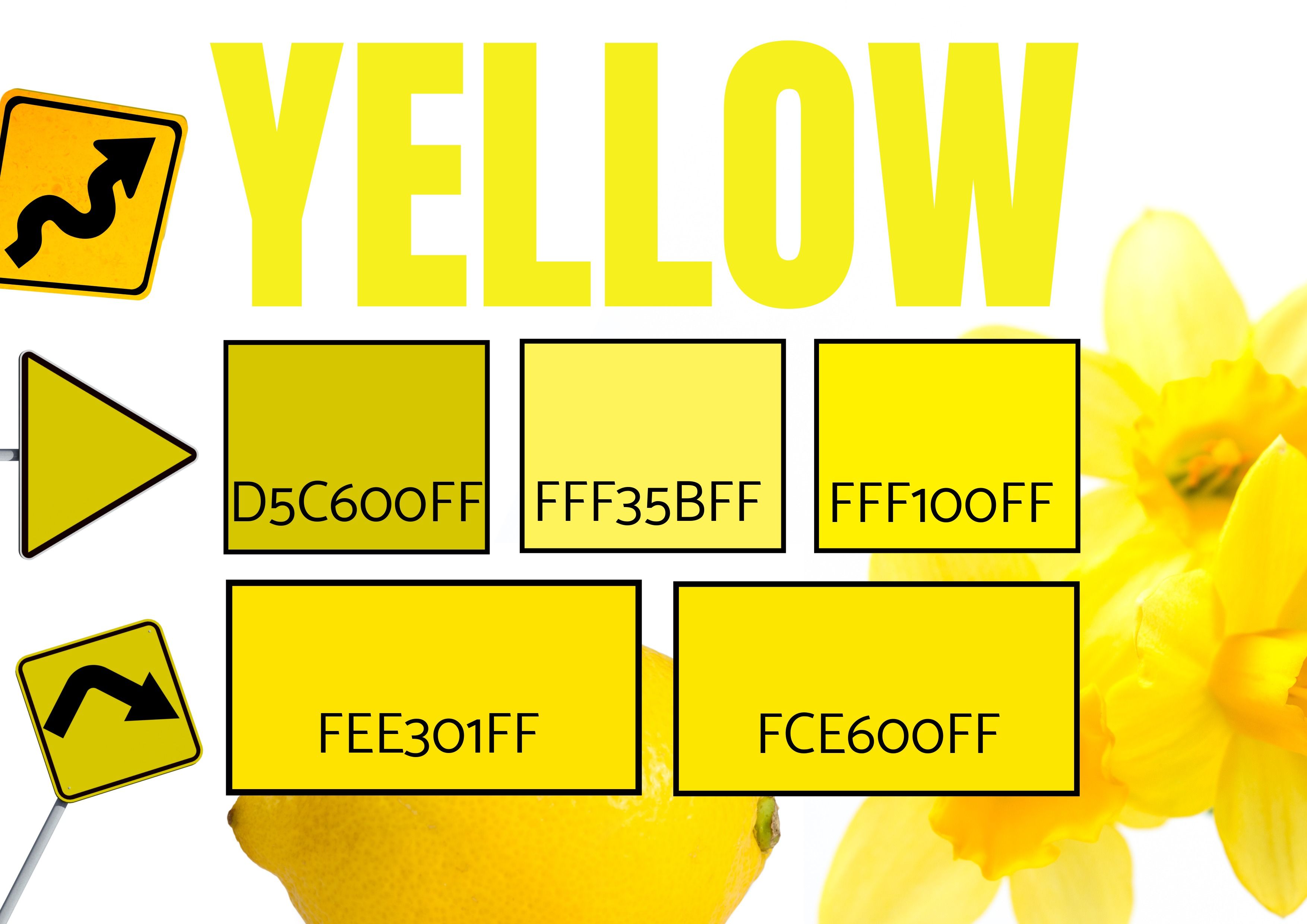 Auswahl von 5 Gelbtönen mit Bildern von Narzissen, Verkehrswarnschildern und einer Zitrone – Symbolik