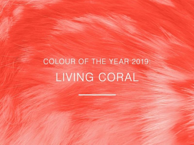 Color theory: coral color - A brief guide on color theory for designers - Image