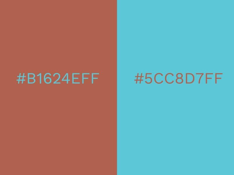Combinaisons de couleurs Copper Coin et Aged Copper - 80 combinaisons de couleurs accrocheuses pour 2021 - Image