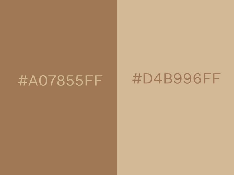 Brown Sugar and Beige colours - 80 attractive color combinations to try - Image