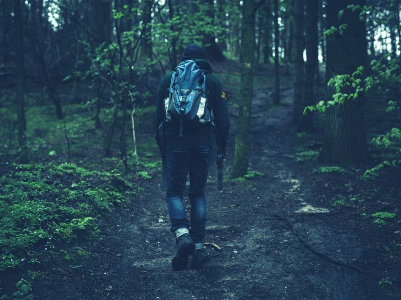 A rear view of a man with a backpack goes on up the mountain - Follow Instagram trends - Image