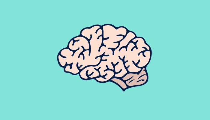 Icône d&#39;un cerveau sur fond turquoise - Image