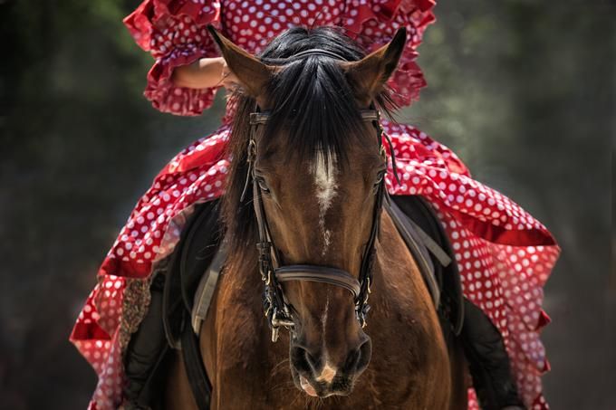 Image of a rider in a red polka dot dress on a brown horse - 80 Creative and inspiring engagement party ideas - Image