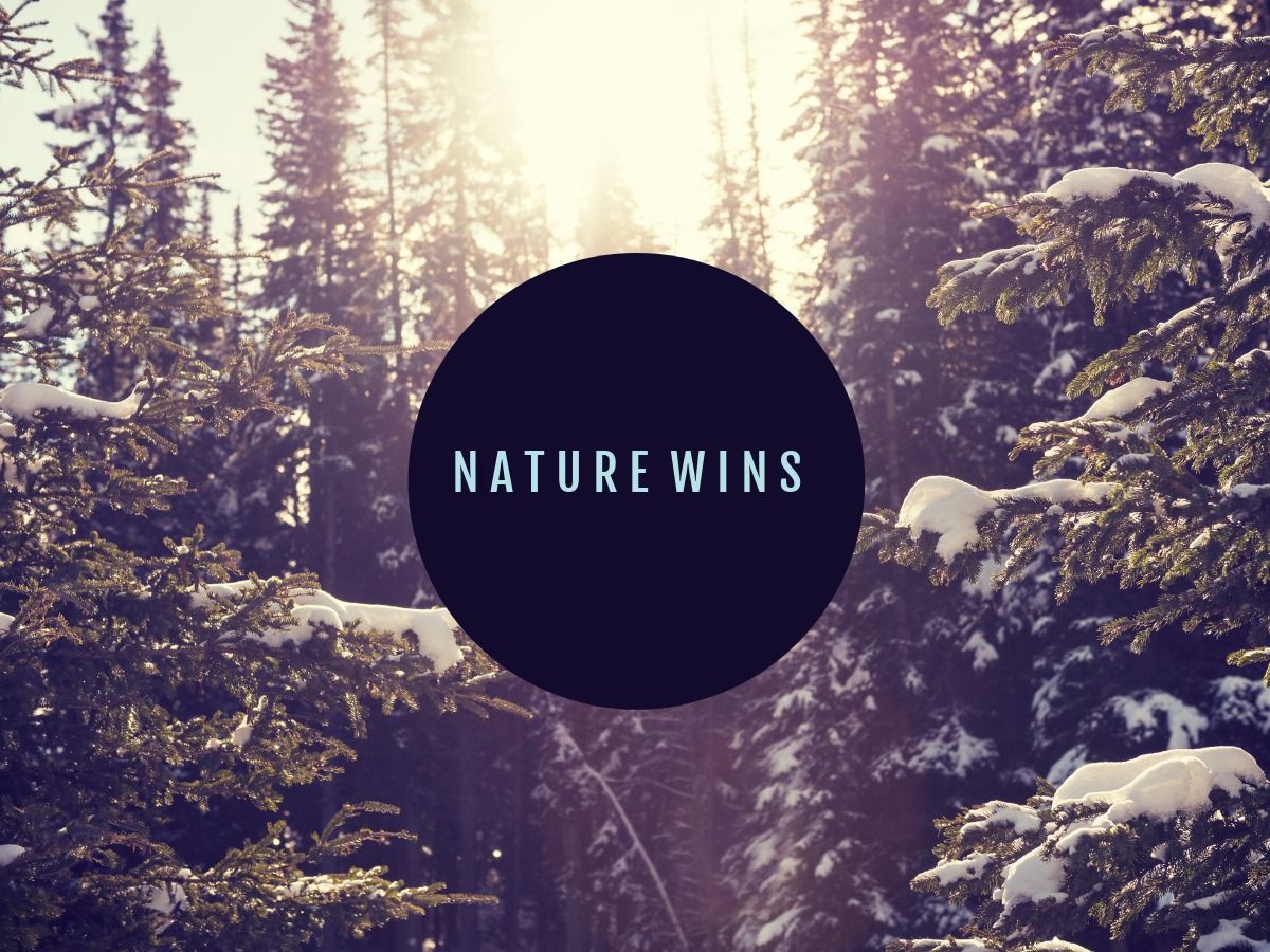Nature wins template - How to continue growing online sales during a Covid pandemic - Image