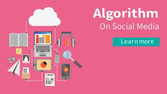 Fondo rosa con símbolos y "Algorithmic on Social Media" en blanco